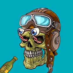 CrazySkull #1496