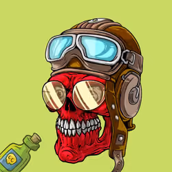 CrazySkull #1001