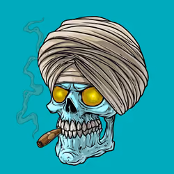 CrazySkull #904