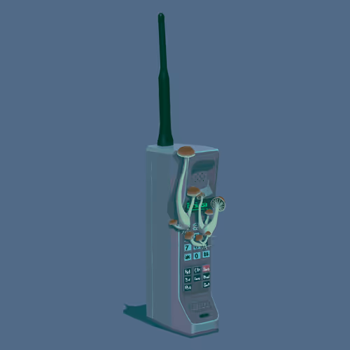 Item #6 Media