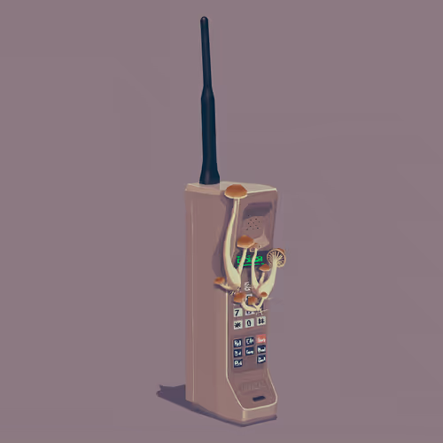 Item #20 Media