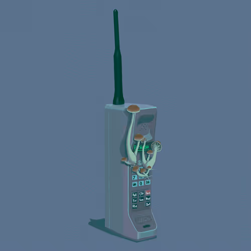 Item #18 Media