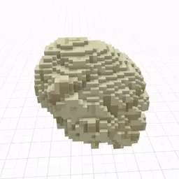 Item #32 Media