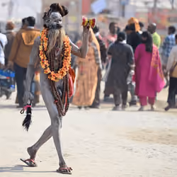 Sadhus of the Maha Kumbh 2025 #8