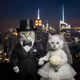 Majestic Feline Wedding