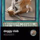 doggy club V2