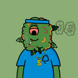 Cannabuddies OG #302