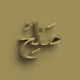 Soleh #3598