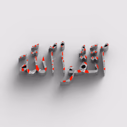 Fear Allah #265