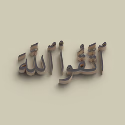 Fear Allah #2665