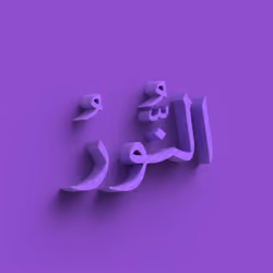 3017