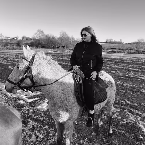 Rider