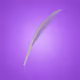 210624583337114373395836055367340864637790190801098222508621955244