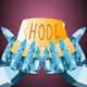 DIAMOND HAND HODLER – by u/lucivaryas (BONUS)