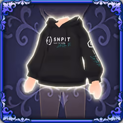 SNPIT Hoodie