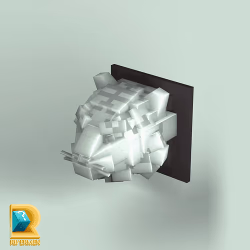 Item #436 Media