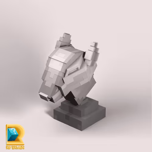 Item #701 Media