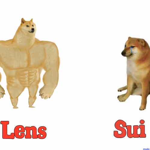 kingjunaid12.lens-Collect-2069