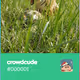 crowdcude