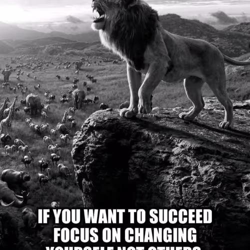 kingjunaid12.lens-Collect-2678