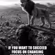 kingjunaid12.lens-Collect-2678
