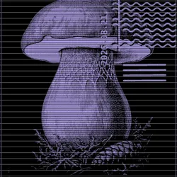 2553342780