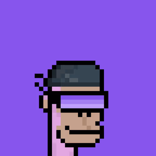Polygon Ape Punks Club