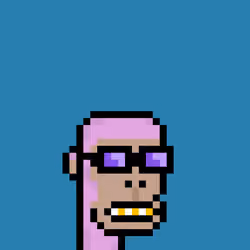 Polygon Ape Punk #303