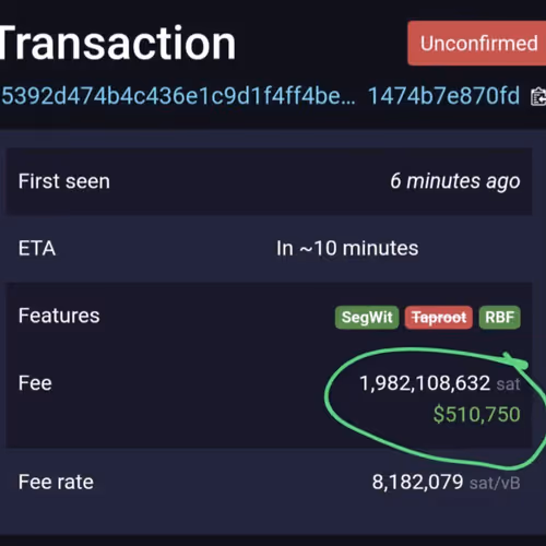 kingjunaid12.lens-Collect-3182