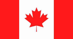 Item #76005161734337486015904411336892154172645524198712931793757395087823061647367 Media