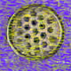 71209414001743013279759192810865414282804639451346174317005142448050632917006
