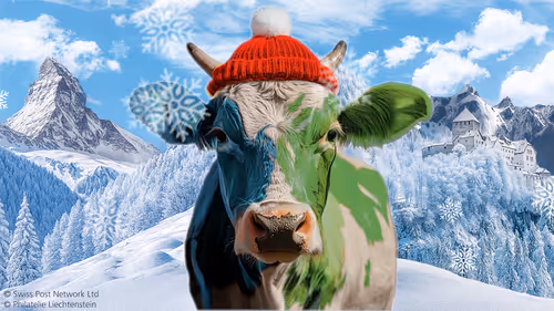 Item #7 Media