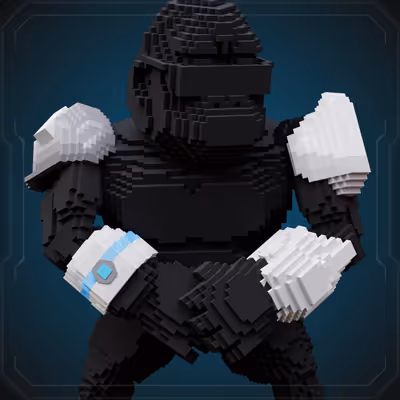 Adventurer's Splint Arms