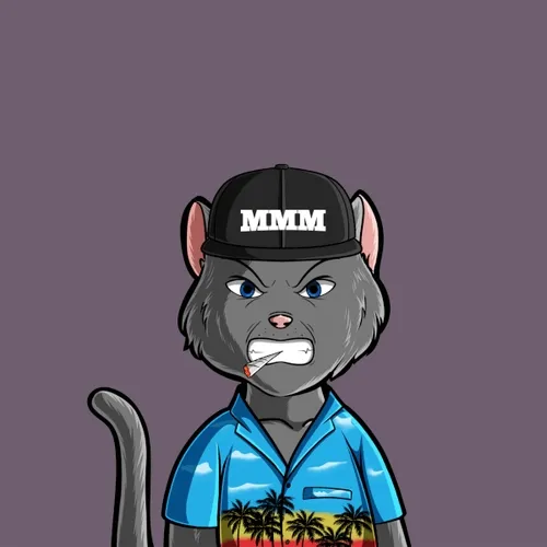 CATS NFT X LaudaLabs X Questn Winners