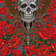 SkullAndRoses_002