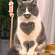 love8.lens-Collect-1051