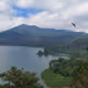 nature10