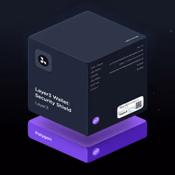 Layer3 Wallet: Security Shield