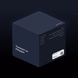 Transact on Polygon
