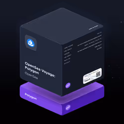 OpenSea Voyage: Polygon