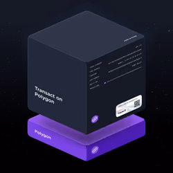 Transact on Polygon