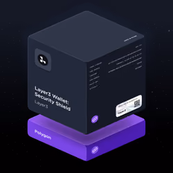 Layer3 Wallet: Security Shield