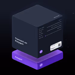 Transact on Polygon