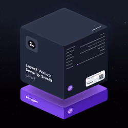 Layer3 Wallet: Security Shield