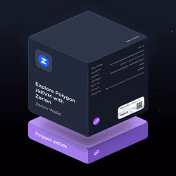 Explore Polygon zkEVM with Zerion