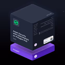 Asset Security with Safe{Wallet} on Polygon PoS