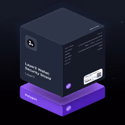 Layer3 Wallet: Security Shield
