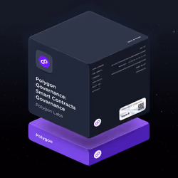 Polygon Governance: Smart Contracts Governance