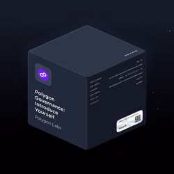 Polygon Governance: Introduce Yourself