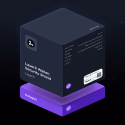 Layer3 Wallet: Security Shield